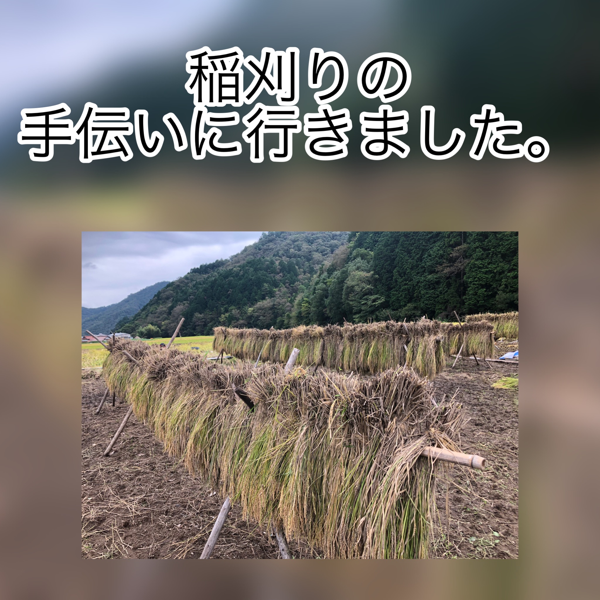 広島　おばんざい　AGRIのブログ　～～ボランティア活動～