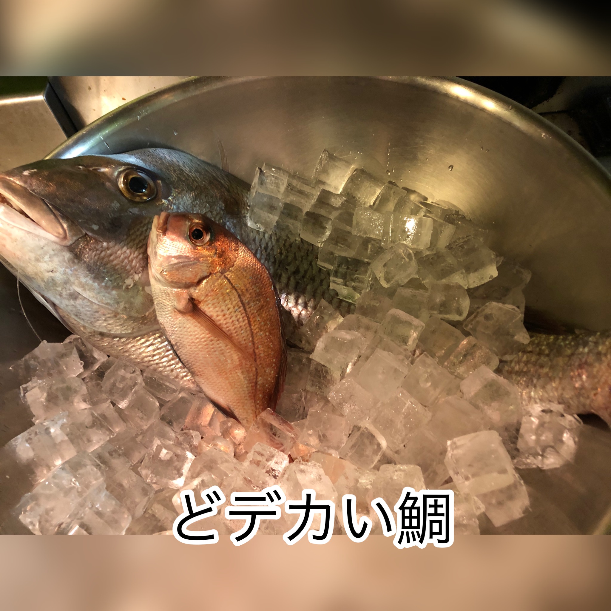 広島　おばんざい　AGRIのブログ　～釣りはロマンがありますね～